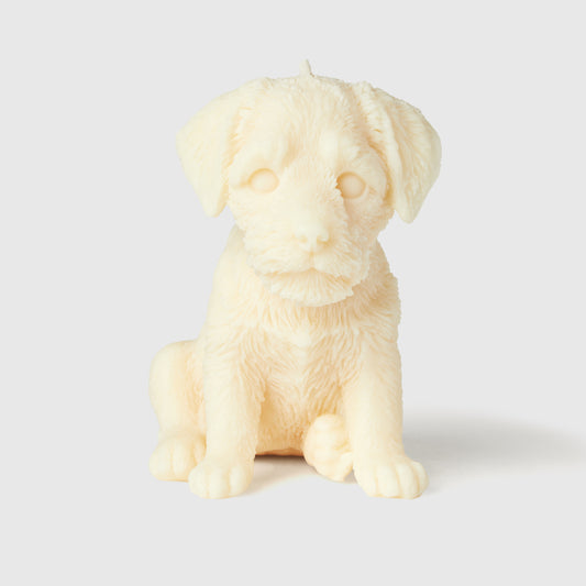 The Border Terrier Candle