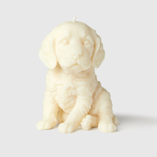 The Springer Spaniel Candle