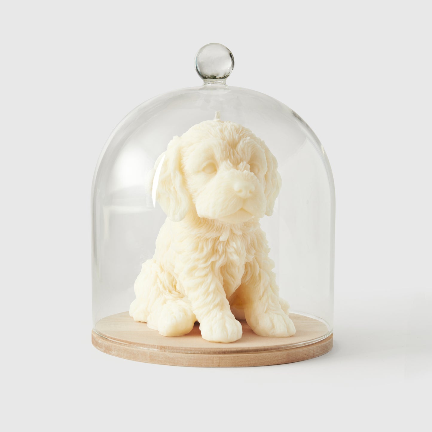 Glass Bell Cloche Jar, Large