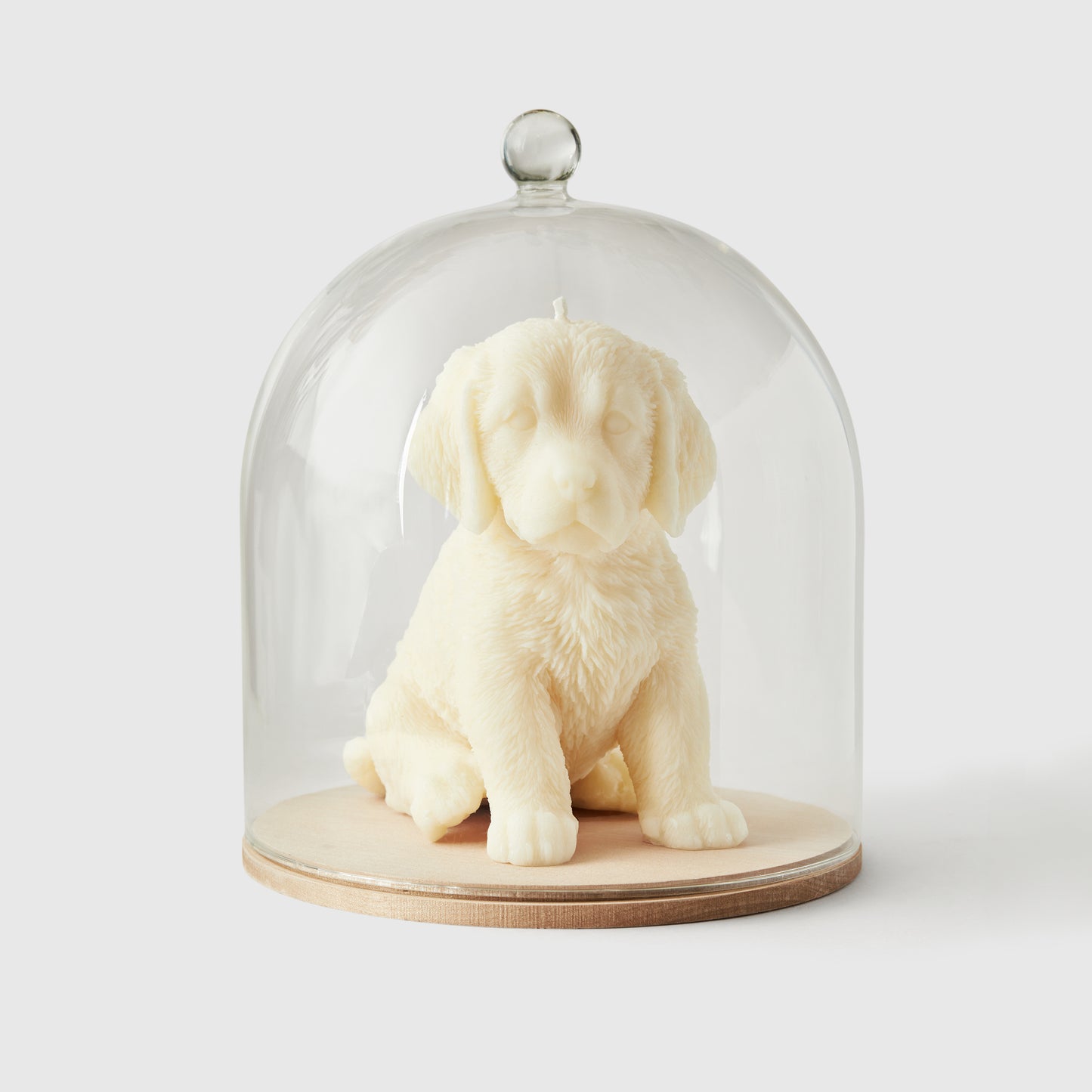 Glass Cloche Bell Jar, Extra Large