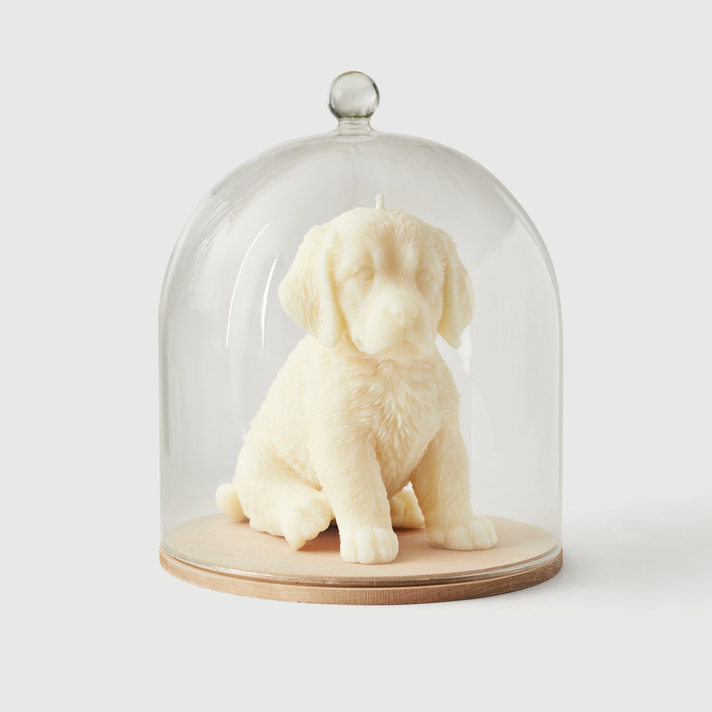 Glass Cloche Bell Jar, Extra Large