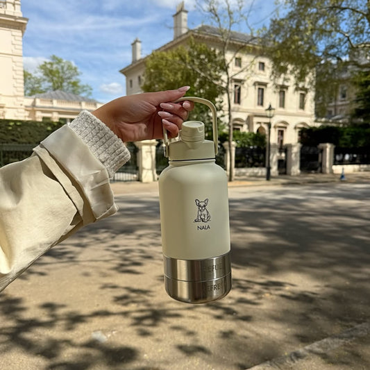 Fetch Flask | 3-In-1 Travel Bottle | Oat