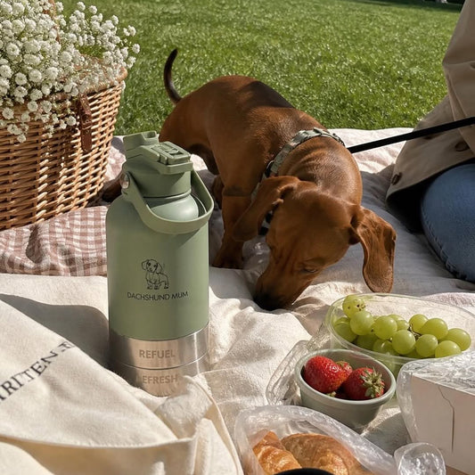 Fetch Flask | 3-in-1 Travel Bottle | Sage Green