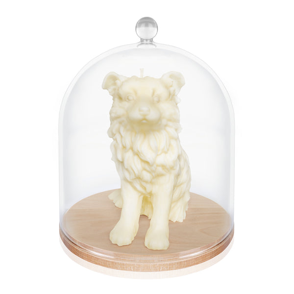 The Border Collie Candle