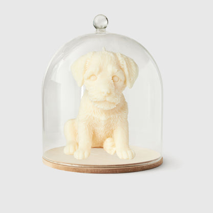 The Border Terrier Candle