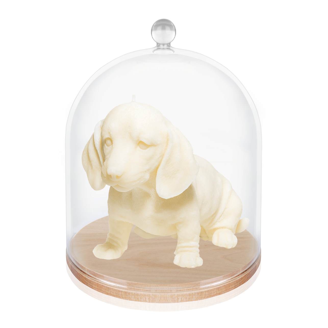 Winston The Dachshund Candle