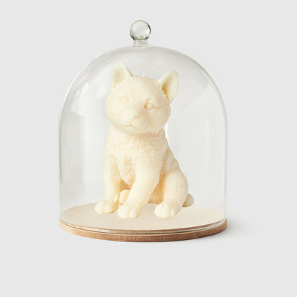 The Husky Candle
