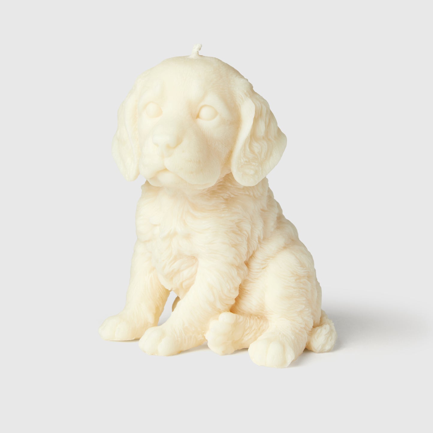 The Springer Spaniel Candle