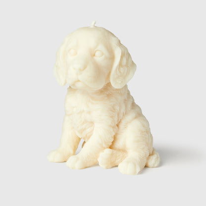 The Springer Spaniel Candle