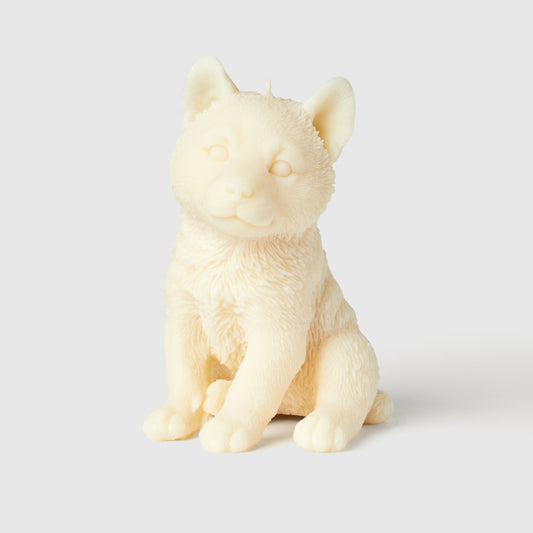 The Husky Candle