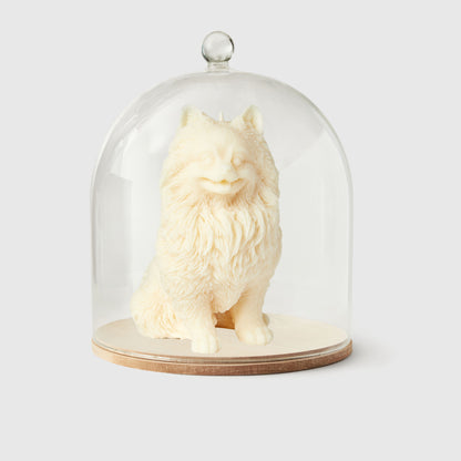 The Pomeranian Candle