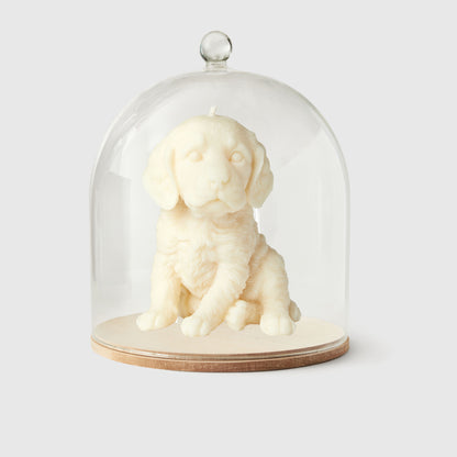 The Springer Spaniel Candle
