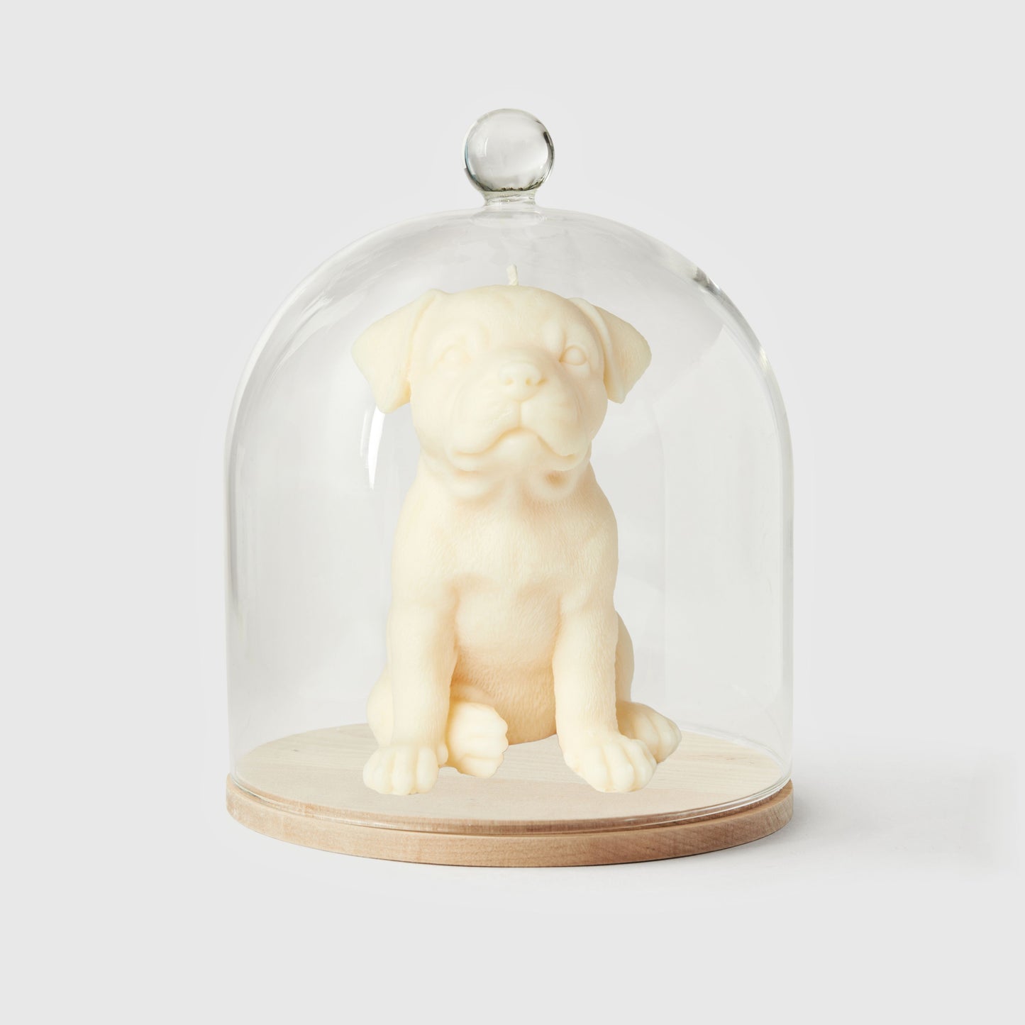 Stanley The Staffordshire Bull Terrier Candle