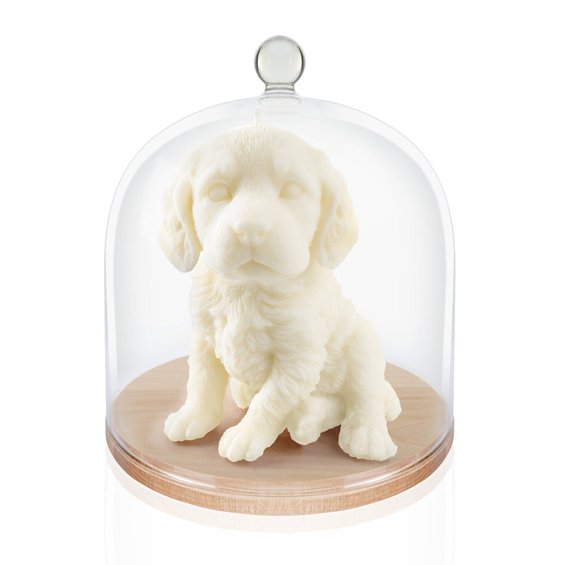 The Springer Spaniel Candle