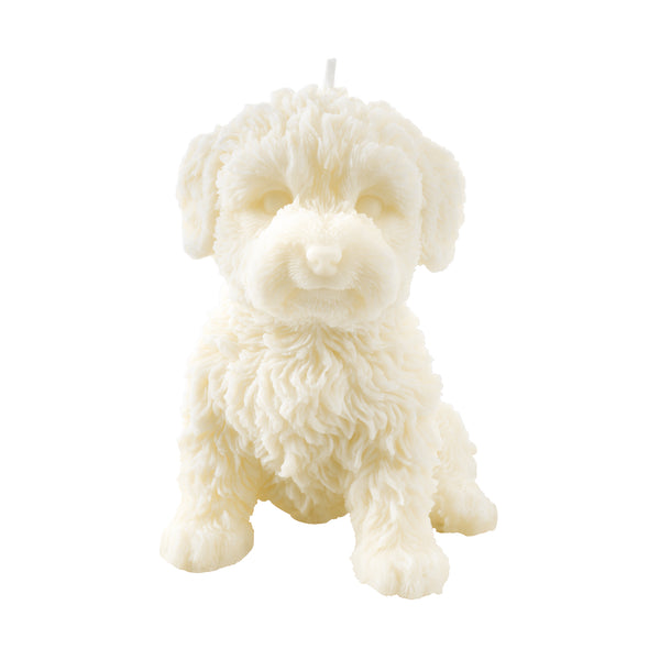 Charlie The Cavapoo Candle