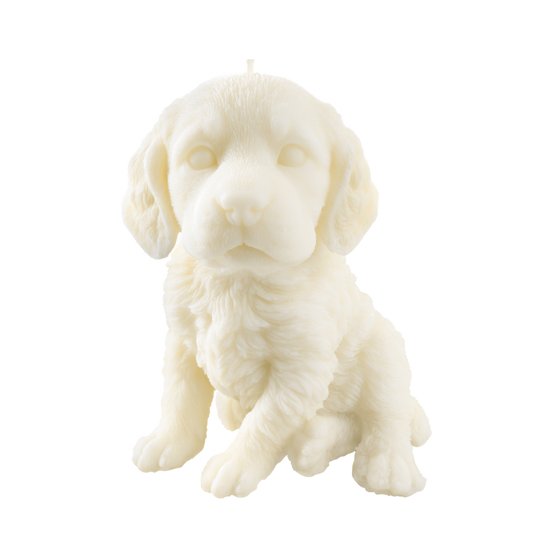 The Springer Spaniel Candle