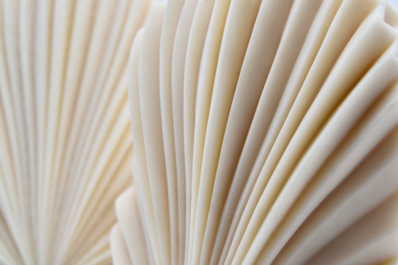 Palm Spear